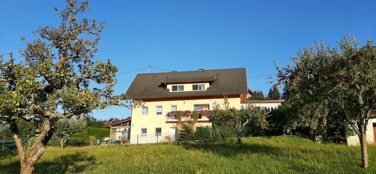 Haus Elvira Apartment Sankt Stefan an der Gail Ngoại thất bức ảnh